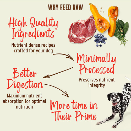 Primal Freeze-Dried Raw Nuggets Dog Food Turkey & Sardine Recipe