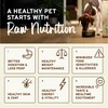 Primal Freeze-Dried Raw Nuggets Dog Food Beef Recipe