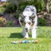 Petmate Chuckit! EcoFetch Recycled Rubber Fetch Stick Dog Toy