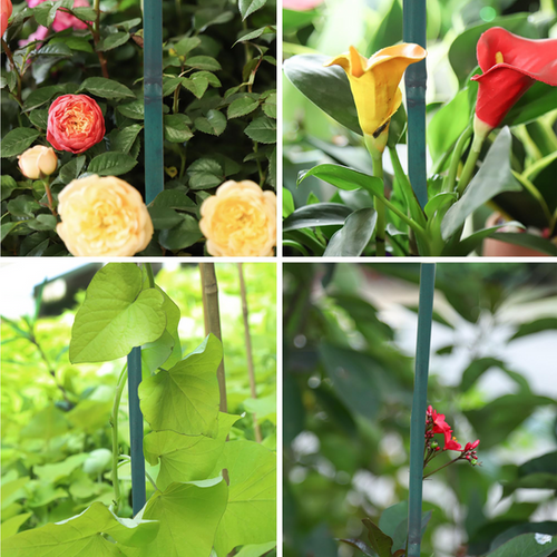 BigTree Garden Stakes 2-6FT Natural Bamboo Plant Stakes