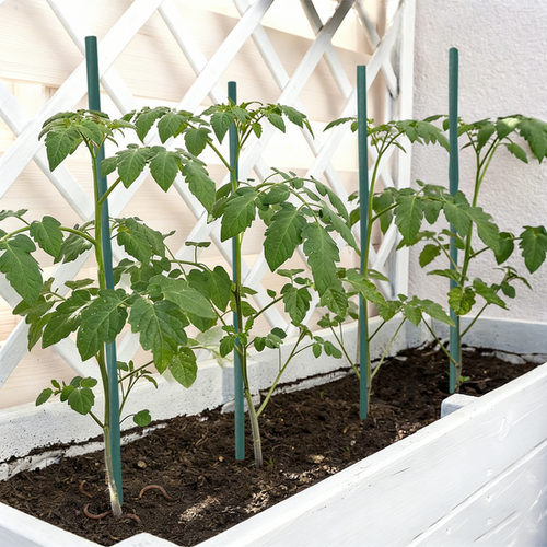 BigTree Garden Stakes 2-6FT Natural Bamboo Plant Stakes