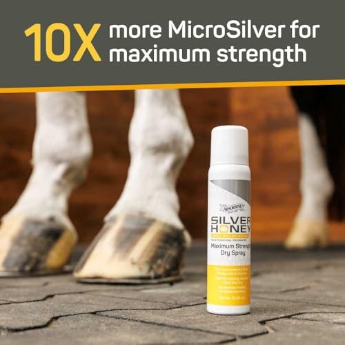 Absorbine Silver Honey Rapid Skin Relief Max Spray