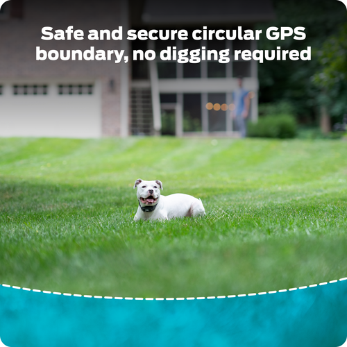 Premier Pet GPS Dog Fence with Circular Wireless Boundary