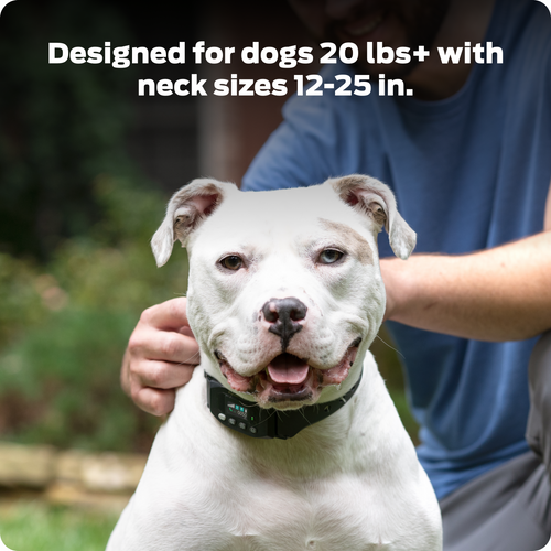 Premier Pet GPS Dog Fence with Circular Wireless Boundary