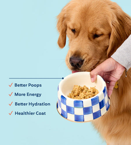 My Perfect Pet Sweetheart’s Pork Blend