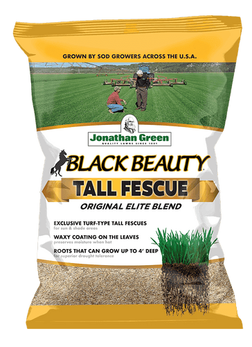 Jonathan Green Black Beauty® Original Tall Fescue Blend
