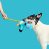 BARK Lele the Nene Goose Plush Tug + Extra-Large Dog Toy
