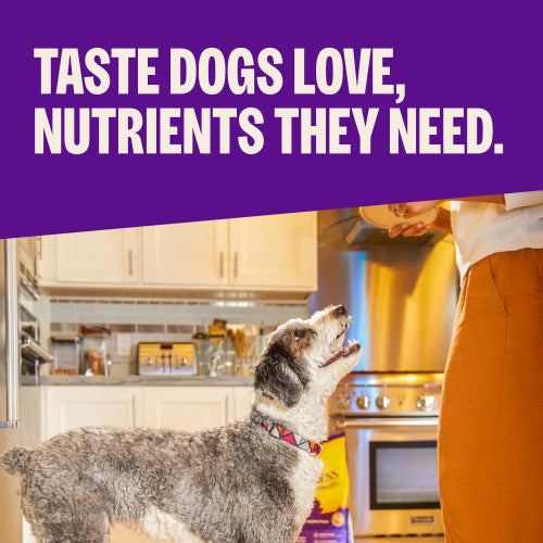 Wellness Complete Health Chicken & Oatmeal Dry Dog Food
