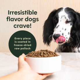 Nature's Variety Instinct Original Beef Dry Dog Food