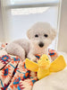 Territory Duck Moving Plush Dog Toy