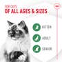 Royal Canin Probiotics for Cats Digestive and Immune Health Powder Supplement