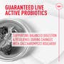 Royal Canin Probiotics for Cats Digestive and Immune Health Powder Supplement