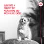 Royal Canin Probiotics for Cats Digestive and Immune Health Powder Supplement