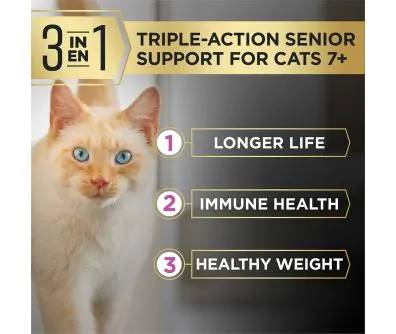 Purina AdvantEDGE Adult 7+ Senior Support+ Chicken & Rice Formula Dry Cat Food