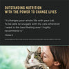 Pro Plan LiveClear Adult Sensitive Skin & Stomach Turkey & Oatmeal Formula Allergen Reducing Dry Cat Food