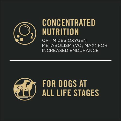 Purina Pro Plan All Ages Sport Performance 30/20 Salmon & Rice Formula Dry Dog Food