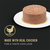 Purina Pro Plan Hairball Chicken Entrée Classic Wet Cat Food