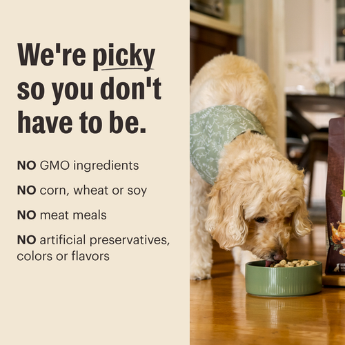The Honest Kitchen Protein Plus Grain Free Beef Topper for Dogs