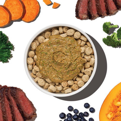 The Honest Kitchen Protein Plus Grain Free Beef Topper for Dogs