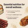 The Honest Kitchen Whole Grain Beef & Chicken Essential Clusters Dry Dog Food