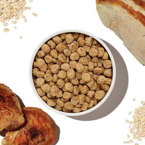 The Honest Kitchen Whole Grain Beef & Chicken Essential Clusters Dry Dog Food