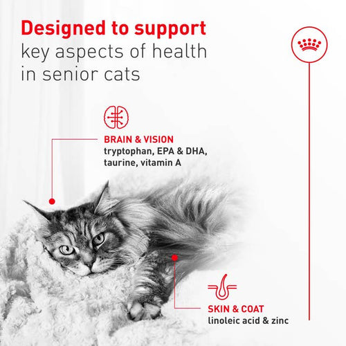Royal Canin Aging 11+ Loaf in Sauce Wet Cat Food