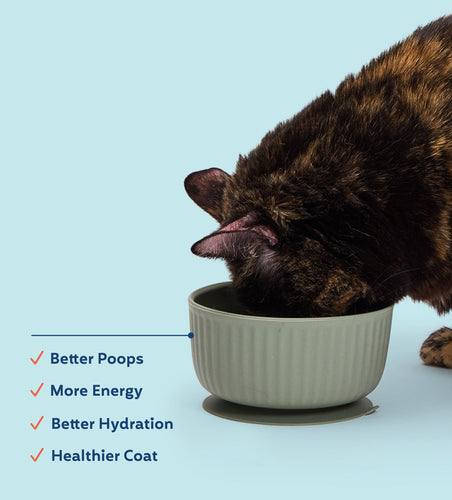 My Perfect Pet Cat - Turkey & Wild Salmon