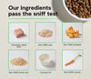 Open Farm Farmer's Table Pork & Ancient Grains Dog Kibble Dry Dog Food