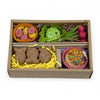 PREVUE Bento Chew & Shred Box