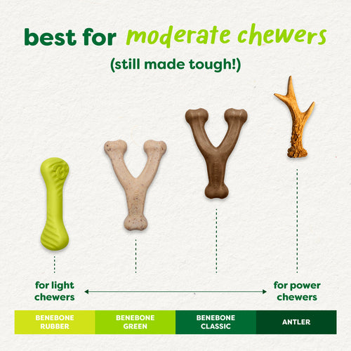 Benebone Green Wishbone Plant-Based Dog Toy for Moderate Chewers