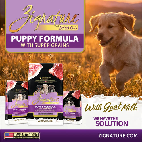 Zignature Select Cuts Puppy Formula with Super Grains