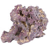 CARIBSEA LIFE ROCK