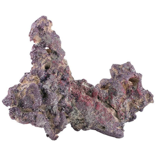 CARIBSEA LIFE ROCK BELIZE BRANCH