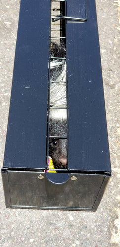 THE SKUNKINATOR