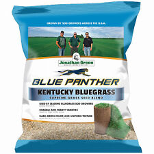 Jonathan Green Blue Panther® Kentucky Bluegrass Grass Seed