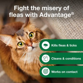 Advantage Cat Flea & Tick Shampoo for Kittens & Adult Cats (8-oz Bottle)