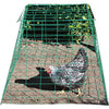 ASI PYRAMID POULTRY WIRE CAGE (40X40X30 INCH, GREEN)