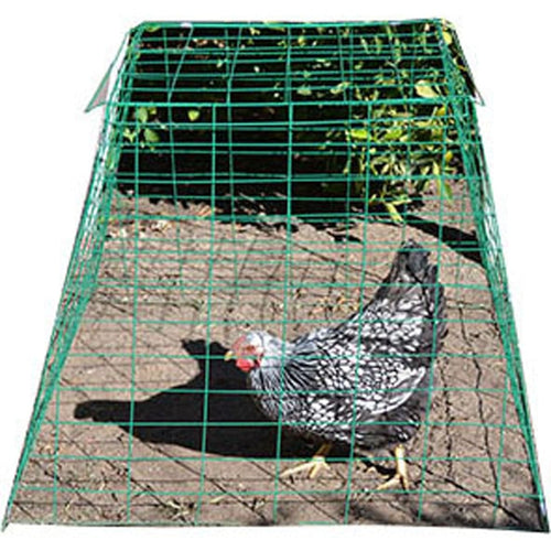 ASI PYRAMID POULTRY WIRE CAGE (40X40X30 INCH, GREEN)