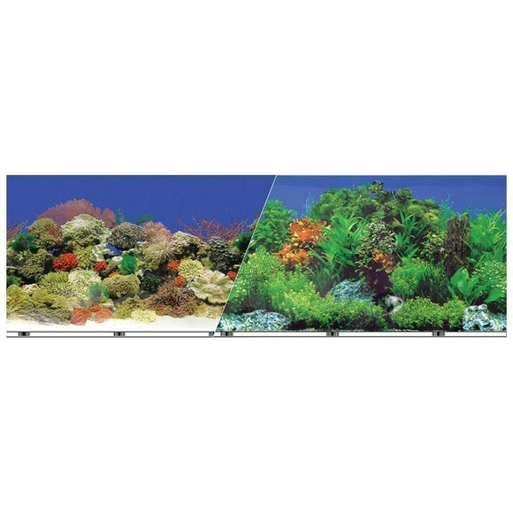 BLUE RIBBON DOUBLE-SIDED GARDEN/CARRIBBEAN CORAL BACKGROUND (24 INCH)