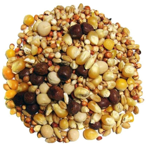 BREEDER SMALL CORN PIGEON FOOD