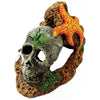 EXOTIC ENVIRONMENTS SKULL WITH STARFISH (SMALL)