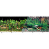 BLUE RIBBON BACKGROUND DOUBLE-SIDED TROPICAL FRESHWATER (24 IN X 50 FT)