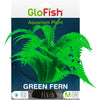 GLOFISH PLANT FERN