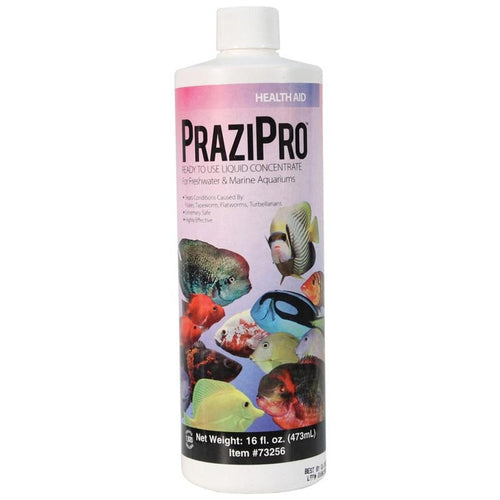 AQUARIUM SOLUTIONS PRAZIPRO (16 OZ)