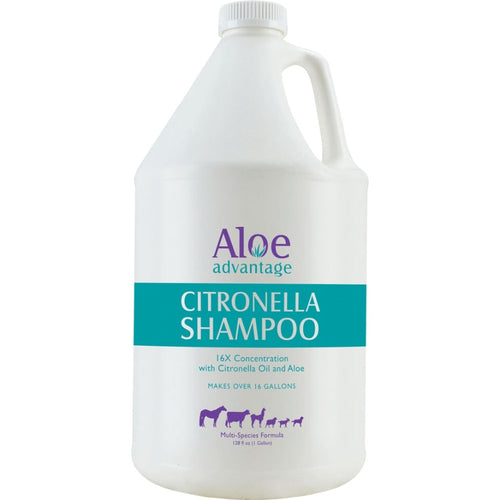 ALOE ADVANTAGE CITRONELLA SHAMPOO 16X CONC (1 GAL)
