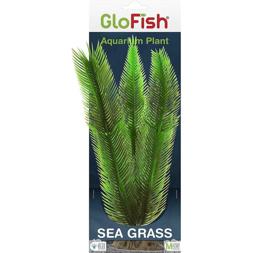 GLOFISH PLANT (SEA GRASS)