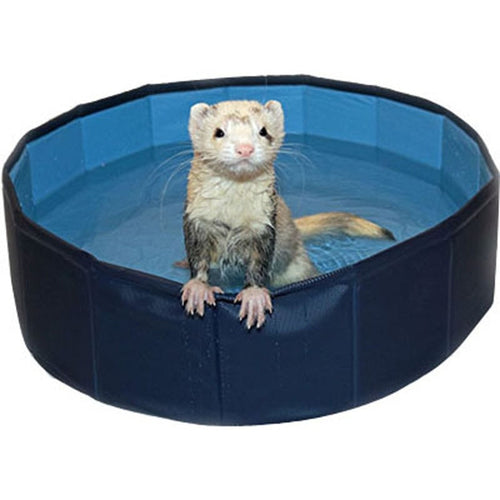 MARSHALL FERRET SWIMMING POOL (BLUE)