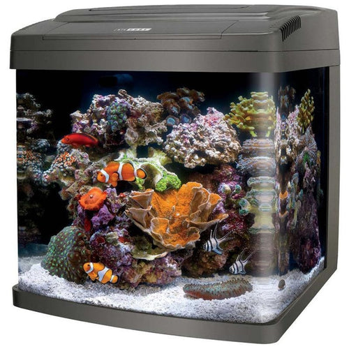 CORALIFE BIO CUBE LED AQUARIUM (16 GAL-15X16X17 IN)