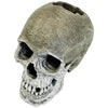 EXOTIC ENVIRONMENTS LIFE-LIKE HUMAN SKULL (SMALL)