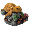 EXOTIC ENVIRONMENTS SEA TURTLE (SMALL)